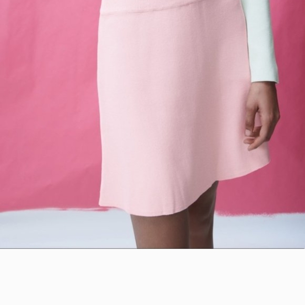 Zara Blush Pink Mini Skirt - Picture 3 of 4